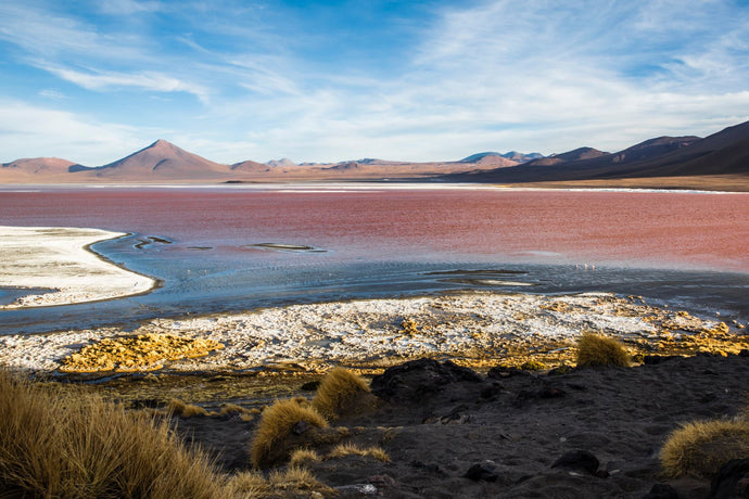 Camargue salt, regions from here and elsewhere